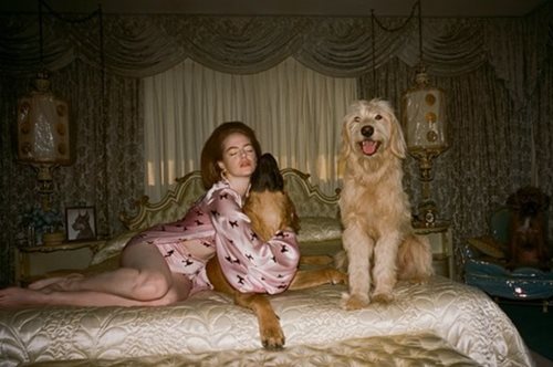 Νέος ρόλος για την Έμμα Στόουν: Σε εκπληκτική φωτογράφιση μόδας του Λάνθιμου ως Αμερικανίδα dog lady