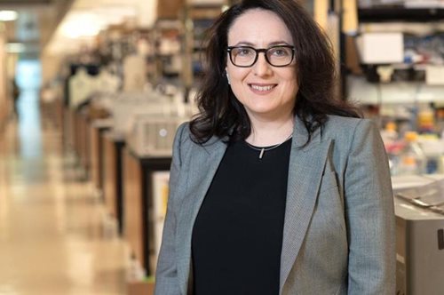 Κατερίνα Ακάσογλου: Η Ελληνίδα ερευνήτρια που θα «φρενάρει» τη σκλήρυνση κατά πλάκας