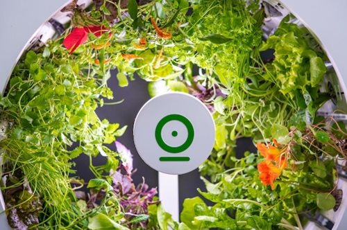 Καταργεί τα ψώνια. Η επαναστατική συσκευή που καλλιεργεί στην κουζίνα σου 90 φρούτα και λαχανικά