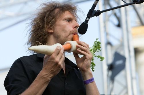 Η αυστριακή ορχήστρα που παίζει μουσική μόνο με λαχανικά είναι μια αποκάλυψη