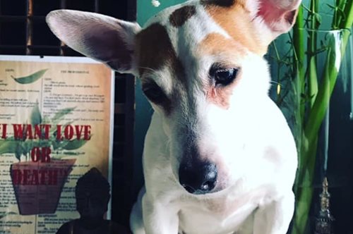 Η Δώρα και η Τρούφα: «Βάλτε μια κοντή στην ζωή σας και θα καταλάβετε τι εννοώ»