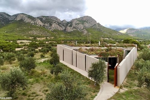 Ένα τριγωνικό σπίτι σε έναν ελαιώνα στα Μέγαρα καταργεί τα όρια εξωτερικού και εσωτερικού χώρου