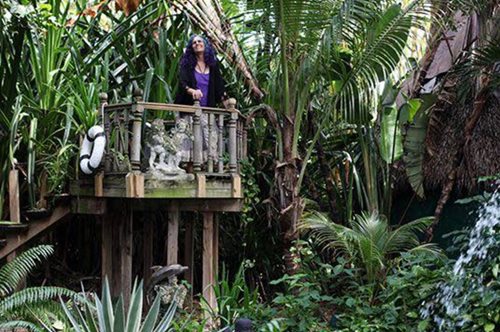 «Όλοι με θεωρούν τρελή»: Η γυναίκα που ζει σε ένα δεντρόσπιτο στο Μαϊάμι έχει και ιδιωτική πισίνα