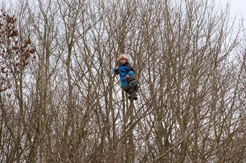Νήπια με μαχαίρια, στην κορυφή δέντρων: Εικόνες που κόβουν την ανάσα στα δανέζικα Σχολεία του Δάσους