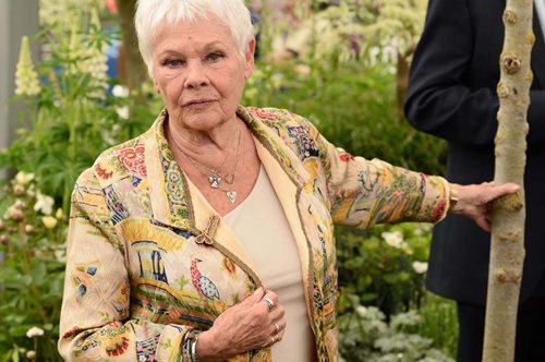 «Συνηθίζεις να ζεις με αυτό». Η Τζούντι Ντενς μιλάει για το γεγονός ότι χάνει την όραση της