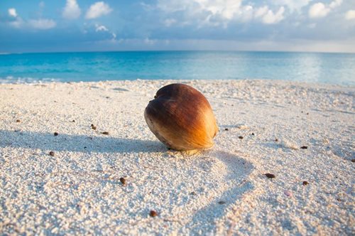 Το πανέμορφο μέρος στον πλανήτη που είναι 10 φορές πιο ραδιενεργό από το Τσερνόμπιλ. Μη σας ξεγελάει