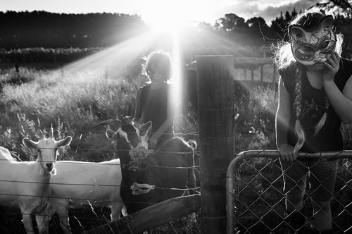 Ατόφια καλοκαιρινή μαγεία. Τέσσερα παιδιά ζουν στην καρδιά της φύσης μακριά από ψηφιακές συσκευές