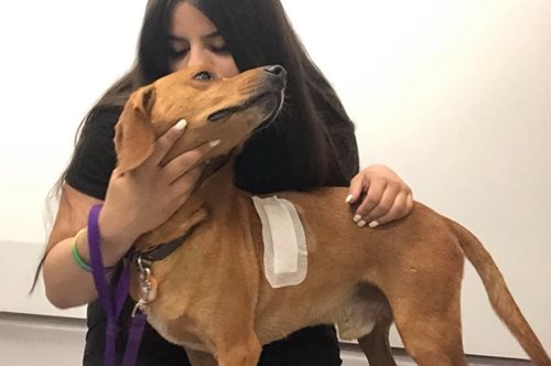 «Μην αφήνετε τους φονιάδες ατιμώρητους»: Η δημοσιογράφος Σταματίνα Σταματάκου ζητάει βοήθεια