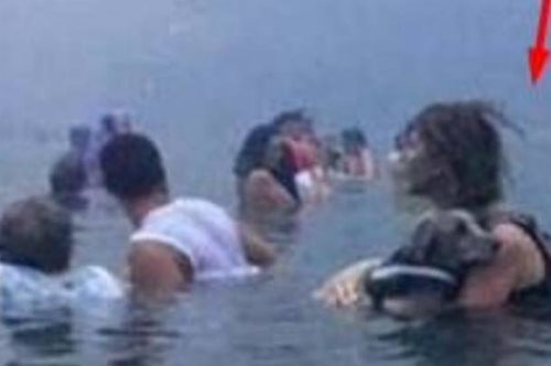 Μάτι: Η κυρία που κρατούσε αγκαλιά το σκυλάκι της μέσα στη θάλασσα. «Η αγάπη σώζει»