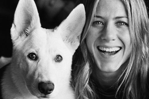 «Περιστοιχισμένη από ολόκληρη την οικογένειά της»: Το αντίο του Θερού & της Άνιστον στον σκύλο τους