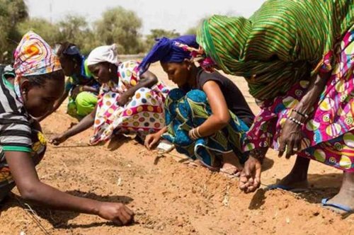 20 αφρικανικές χώρες εργάζονται για να δημιουργήσουν το «Μεγάλο πράσινο τείχος της Αφρικής»