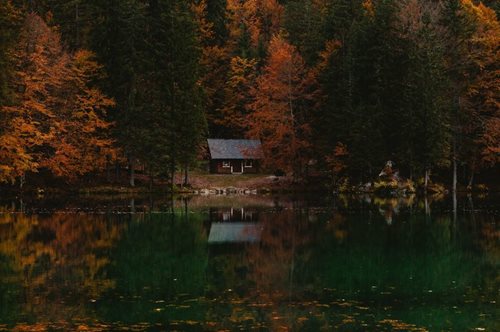«Κουτός δεν ήταν ο Άγρας»: Απόσπασμα από το βιβλίο, Στα Μυστικά του Βάλτου, της Πηνελόπης Δέλτα