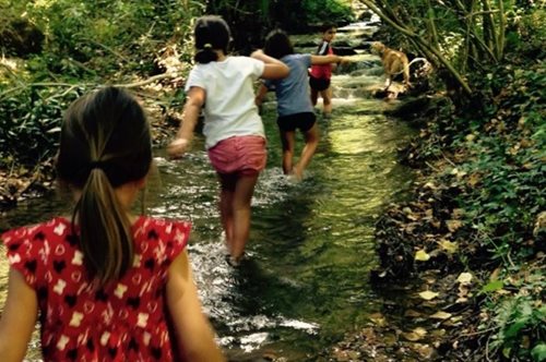 Εκπαίδευση στη φύση: Τα Σαββατοκύριακα μαθητές δημοτικού στη Λέσβο πάνε στο Σχολείο του Δάσους