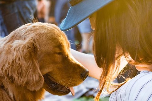 Σημαντική και πρωτοποριακή κίνηση. H Kύπρος καλωσορίζει την Αστυνομία των Ζώων 