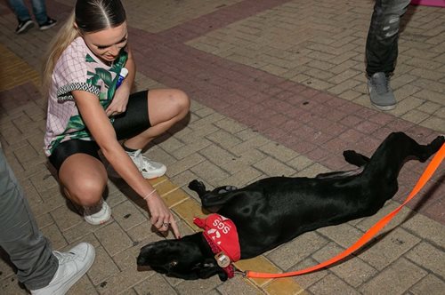 Η Μαρίνα Φλοίσβου πλημμύρισε χαρούμενες ουρές: Η μεγάλη επιτυχία του 2ου SGS Family & Pets Festival