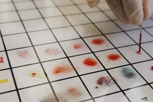 Οι αιμοδότες στη Σουηδία λαμβάνουν ένα μήνυμα στο κινητό κάθε φορά που η δωρεά τους σώζει μια ζωή