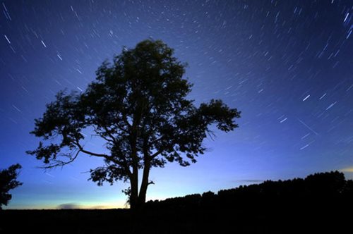 Έρχονται απόψε τα πεφταστέρια του φθινοπώρου. Κορυφώνεται το βράδυ το εντυπωσιακό φαινόμενο 