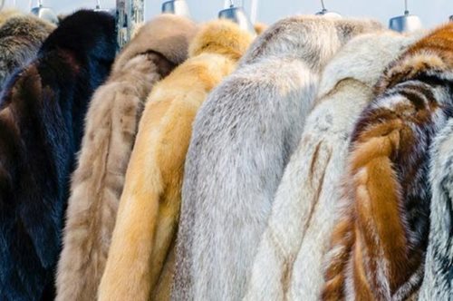 Η αρχή μίας νέας εποχής. Τα Macy's και Blοοmingdale's σταματούν να πωλούν αληθινή γούνα