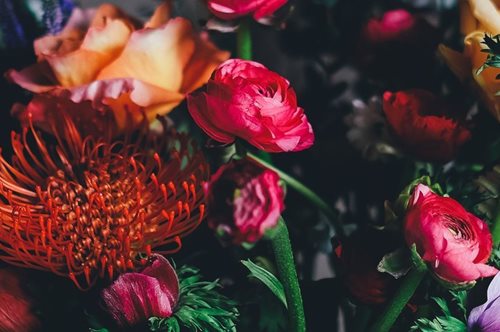 Η διάταξη των φύλλων, η αρμονία της φύσης και ο μαγικός αριθμός Φ που φανερώνει τη χρυσή αναλογία