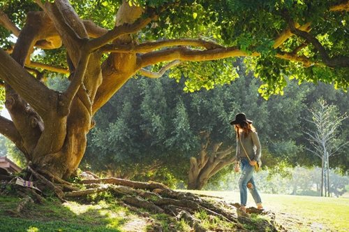 Για πρώτη φορά γνωρίζουμε ακριβώς πόσο χρόνο πρέπει να περνάμε στη φύση για να είμαστε ευτυχισμένοι