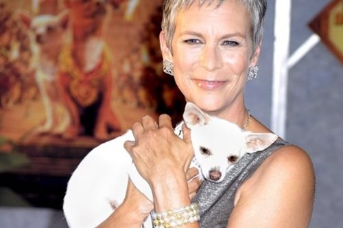 «Το ντροπιαστικό μυστικό που μας κρατά φυλακισμένους»: Η Τζέιμι Λι Κέρτις για τον εθισμό της