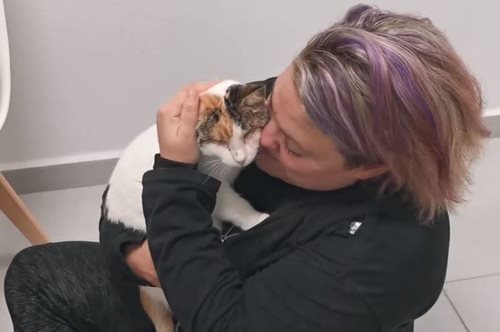 Φουλ της συγκίνησης: Η τυφλή γάτα που κακοποιήθηκε στη Φολέγανδρο υιοθετήθηκε από τυφλή γυναίκα