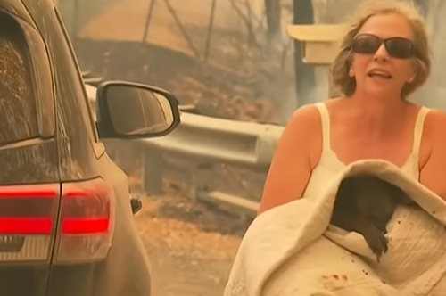 «Έκλαιγε και ούρλιαζε, γιατί καιγόταν»: Η σωτήρας του κοάλα αφηγείται τη συγκλονιστική ιστορία του