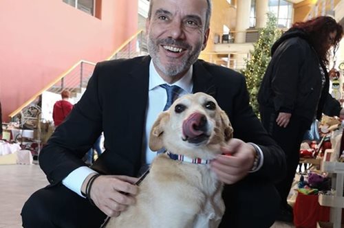 Βρέθηκε σε λίμνη αίματος: Η συγκλονιστική ιστορία της Διώνης, μιας σκυλίτσας-ζωντανό θαύμα φιλοζωίας