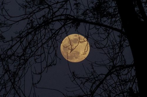 12/12 στις 12.12 π.μ.: Έρχεται μια σπάνια Παγωμένη Πανσέληνος με ουράνια «συνάντηση κορυφής»