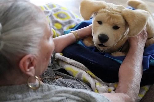 Ρομποτικοί σκύλοι σχεδιάστηκαν ειδικά για να προσφέρουν συντροφιά σε άτομα με άνοια ή Άλτσχάιμερ