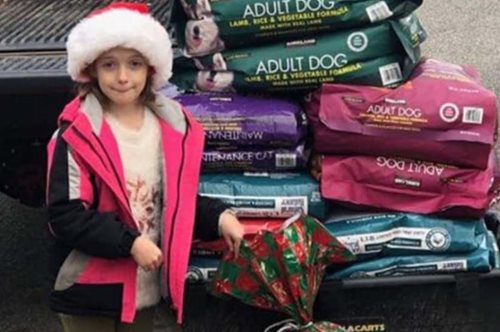 Η 8χρονη που αντί για δώρο Χριστουγέννων ζήτησε χρήματα για να αγοράσει τροφές για τα αδέσποτα