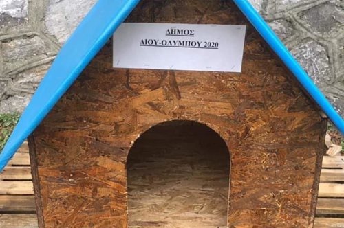 Σωτήρια πρωτοβουλία: Ο Δήμος Δίου Ολύμπου κατασκευάζει ξύλινα σπιτάκια για τα αδέσποτα ζώα