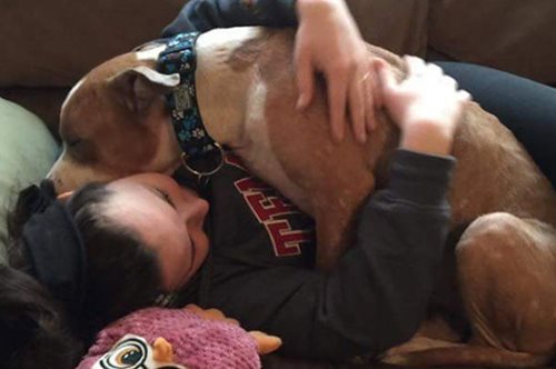 Η εικόνα του πίτμπουλ που δεν σταματά να αγκαλιάζει τη γυναίκα που το υιοθέτησε είναι ό,τι ωραιότερο