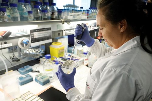 «Συναρπαστική ανακάλυψη»: Νέα θεραπεία φαίνεται να σκοτώνει όλους τους τύπους καρκινικών κυττάρων