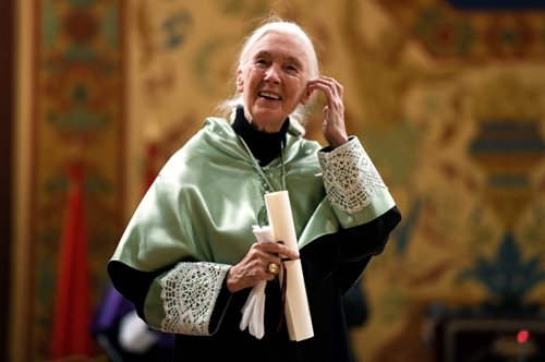 O συγκινητικός λόγος που η διασημότερη ανθρωπολόγος στον κόσμο αποφάσισε να φυτέψει 5 εκ. δέντρα