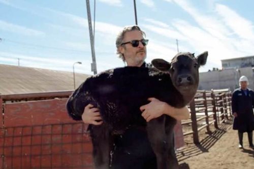 Ο Χοακίν Φίνιξ σώζει αγελάδα και το μοσχαράκι της από το σφαγείο, γίνεται το πρόσωπο της ημέρας