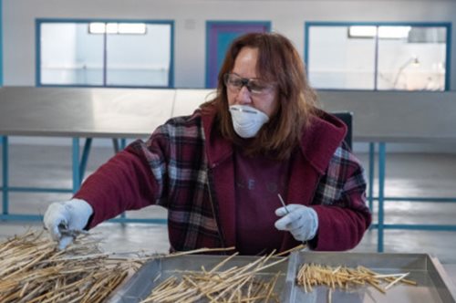 «Staramakia»: Tα καλαμάκια από σιτάρι που φτιάχνουν πρώην άνεργοι και πρόσφυγες στο Κικλίς