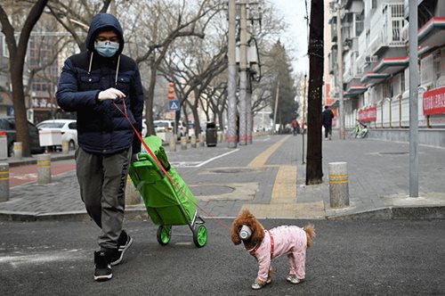 Όταν η πόλη Γιούχαν ερήμωσε λόγω του κορωναϊού, ένας άντρας έμεινε πίσω και φροντίζει τα κατοικίδια