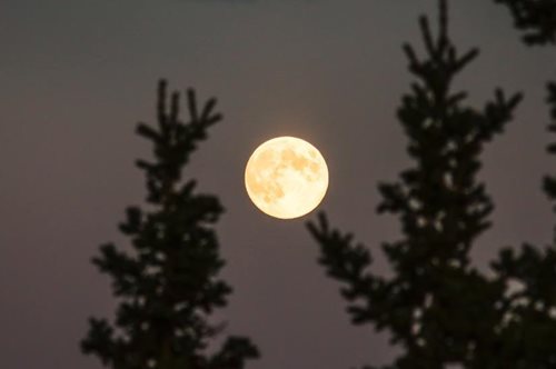 Η πανσέληνος των σκουληκιών είναι εδώ -Γιατί ονομάζεται έτσι