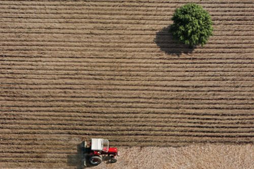 Μια ταινία για την Αρκαδία, έναν τόπο φορτισμένο με μύθους και αναφορές -Ελεύθερο στο YouTube