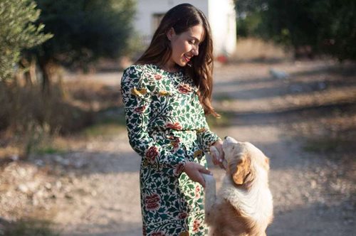 Stray Stories, ένα YouTube κανάλι με αδέσποτες ιστορίες