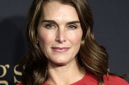 Στο σπίτι της Μπρουκ Σιλντς δεν έχουν τι να κάνουν και έτσι φοράνε τα καλά τους για δείπνο