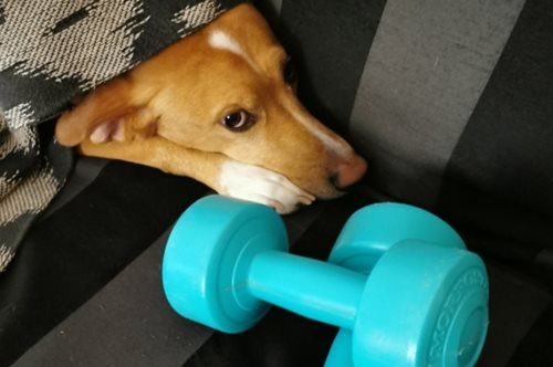 Όταν η καραντίνα με μεταμόρφωσε σε κάτι που δε γνωρίζω ακόμα 