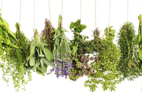 Τα βότανα που ενισχύουν τη λίμπιντο αντρών και γυναικών