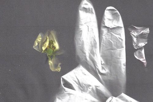 Η αναπάντεχη καμπάνια του oίκου Gucci- Γάντια μιας χρήσης και λουλούδια τα σύμβολα της ζωής 