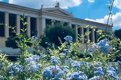 Η άνοιξη ήρθε στην Αθήνα: 8.500 νέα λουλούδια και φυτά στην πόλη από τις αρχές Μαρτίου
