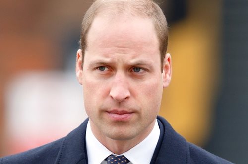 Ο πρίγκιπας Γουίλιαμ σνομπάρει την hit σειρά του Netflix «Tiger King» και έχει τους λόγους του