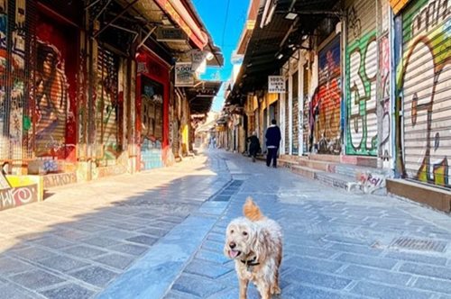 Οι φωτογραφίες της Μαρίνας Βερνίκου στα άδεια σοκάκια της Αθήνας παραμένουν αισιόδοξες