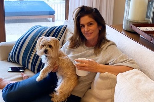 Τα πιο κολακευτικά κουρέματα μεσαίου μήκους για γυναίκες άνω των 50 -Τα προτιμούν και οι διάσημες 