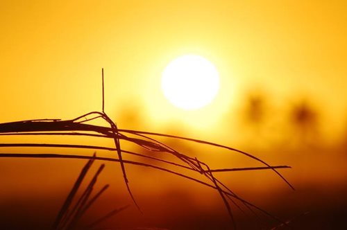 Η Ανατολική Μεσόγειος φλέγεται και έχουμε ακόμα Μάιο: Έρχεται καύσωνας-ρεκόρ των τελευταίων 150 ετών